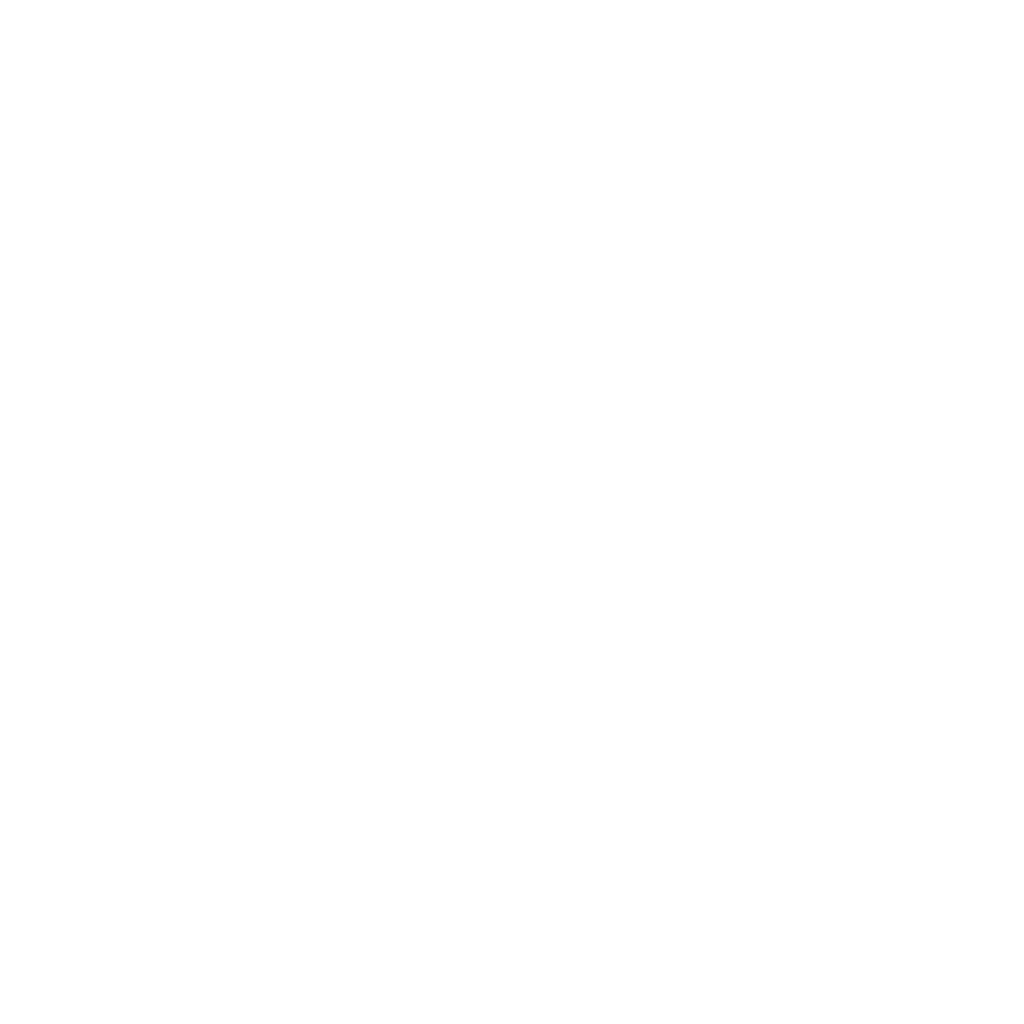 03 logo mono leiva